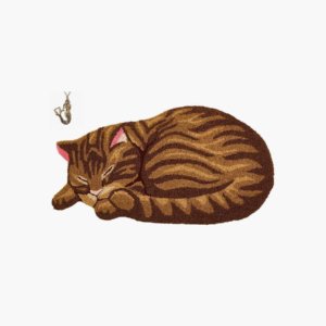 Hughapy Brown Cute Sleeping Cat